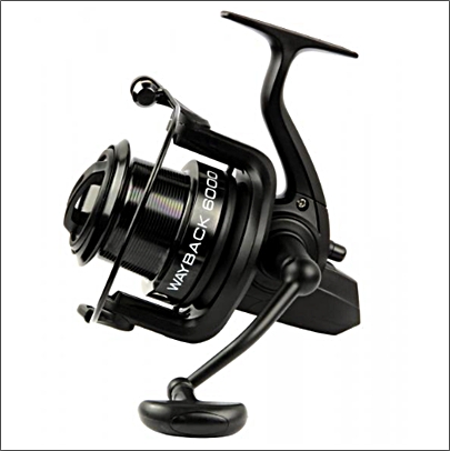 Carp Academa Wayback ors